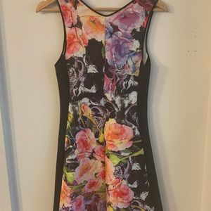 Clover Canyon Dress